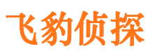 巫溪市侦探公司